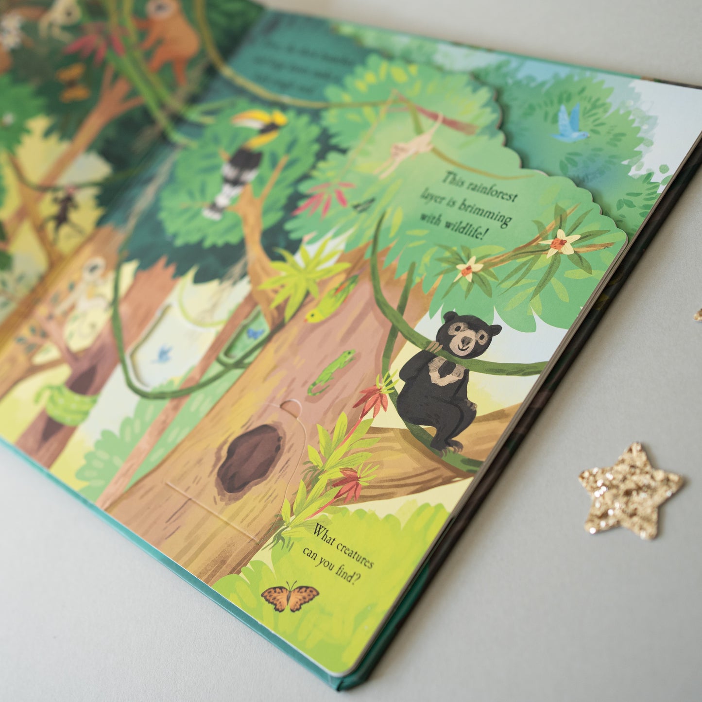 Let’s Explore, The Rainforest Book