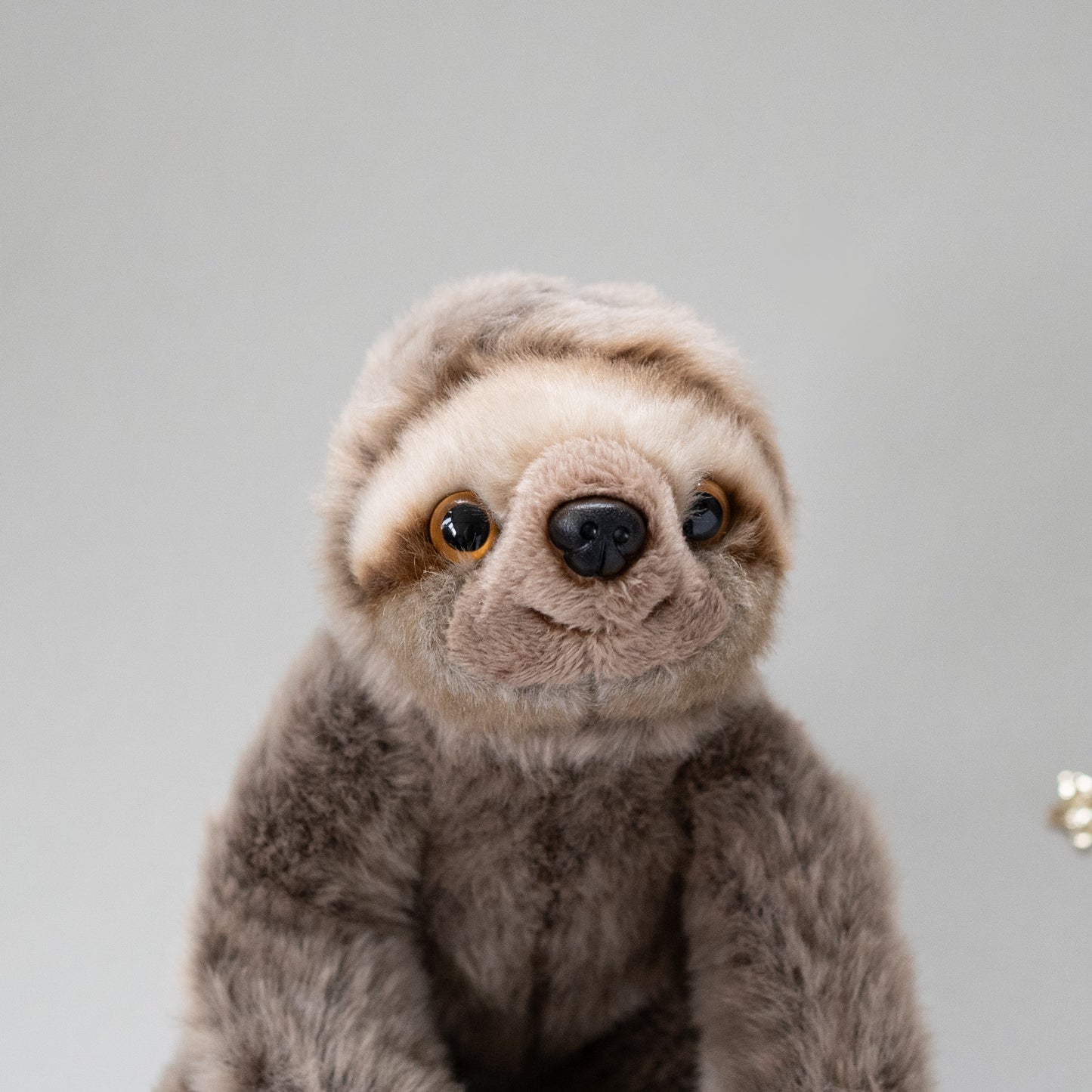 Sloth cuddly Toy